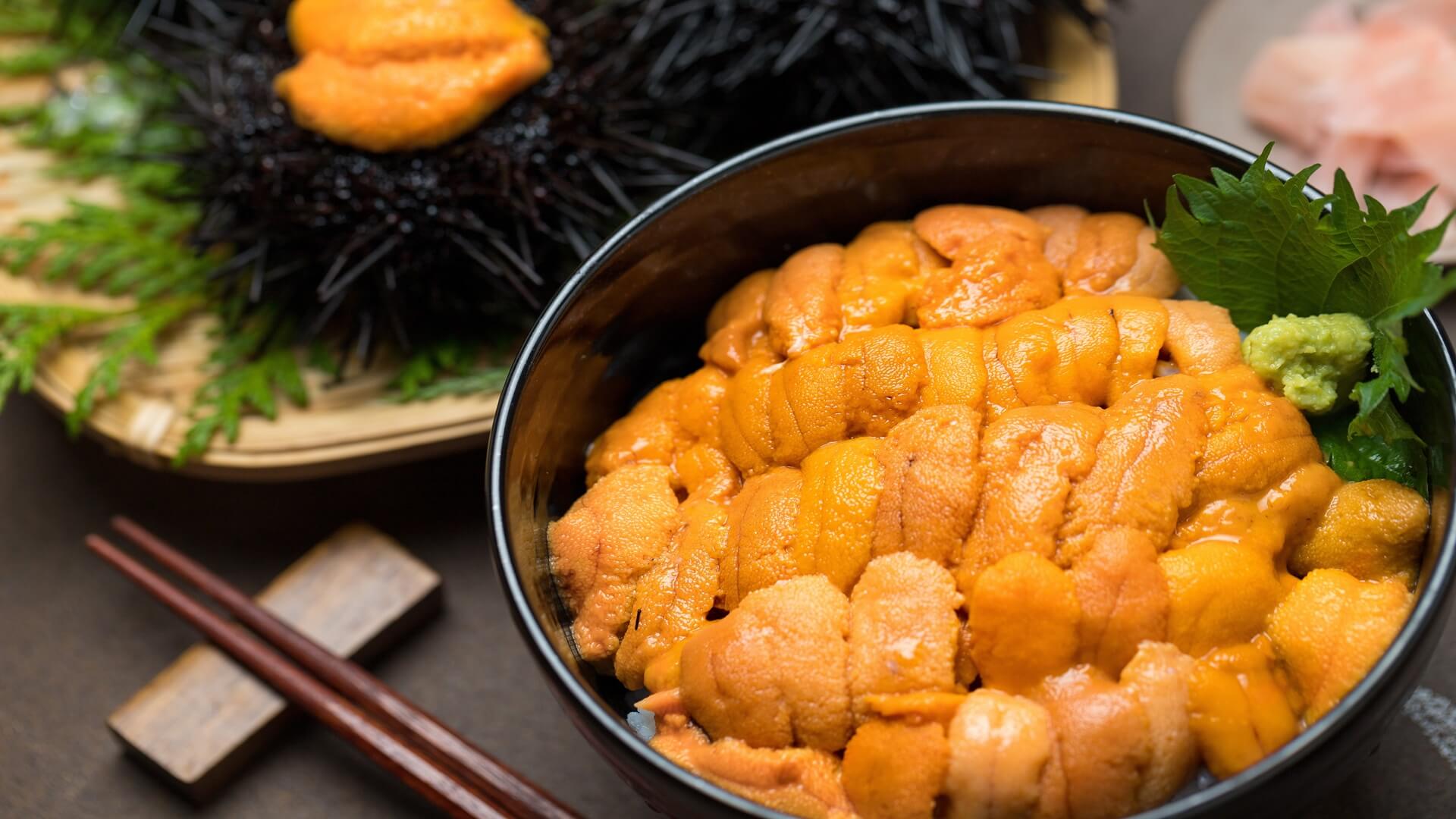 函館で人気の海鮮グルメ6選!贅沢ランチや海鮮丼を楽しめる居酒屋などおすすめを厳選