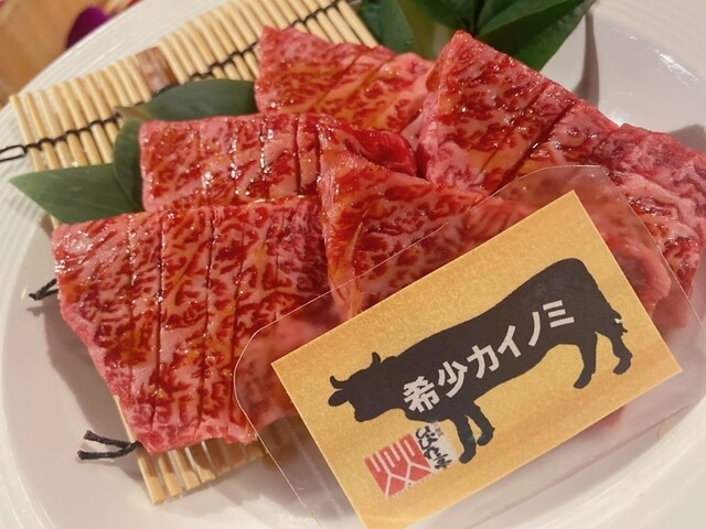 希少カイノミ