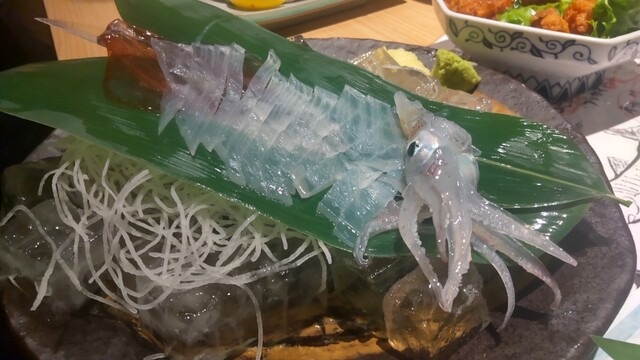 泳ぎイカのお造り