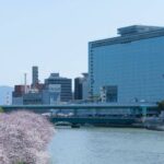 天満橋でランチするならここ！人気イタリアン・焼肉も揃うおすすめ最新グルメまとめ12選
