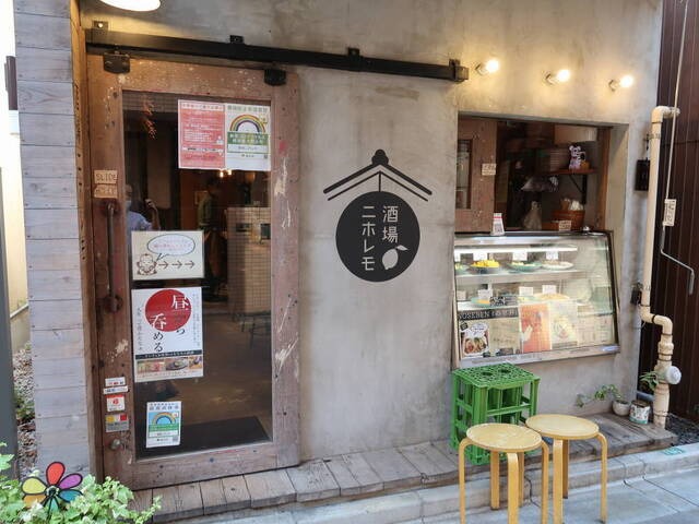 【酒場ニホレモ】昼は惣菜ランチ、夜はレモンサワーで乾杯できる人気店