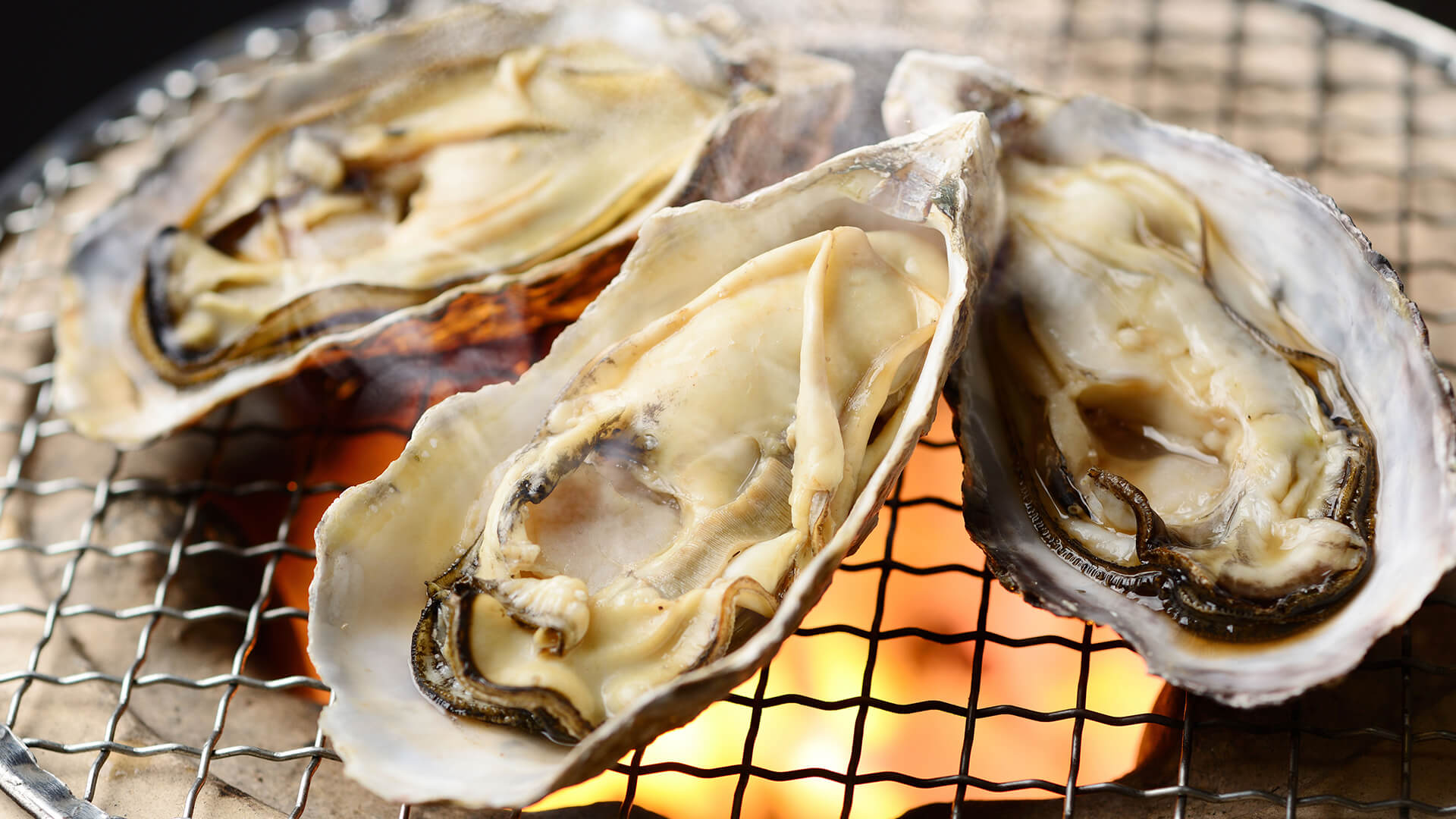 【保存版】松島の牡蠣グルメ10選｜焼き牡蠣食べ放題＆牡蠣小屋体験&海鮮ランチが楽しめる人気店まとめ