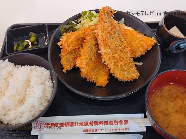 黄金アジフライ定食