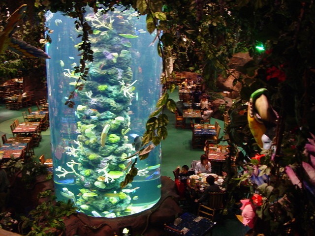 レインフォレスト カフェ 内装