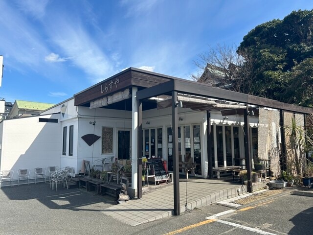 【しらすや】湘南・腰越漁港で味わう！朝どれしらすを堪能できる海辺の食事処