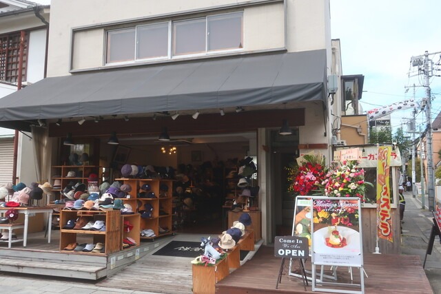 【しらす研究所鎌倉】生しらすの旨みを食べ比べ◎鎌倉で出会う海の幸たっぷり丼