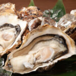 【完全版】広島の牡蠣グルメ20選｜宮島・広島駅・宇品で人気の牡蠣小屋や海鮮居酒屋をエリア別に紹介！焼き牡蠣・蒸し牡蠣・カキフライなど絶品牡蠣まとめ