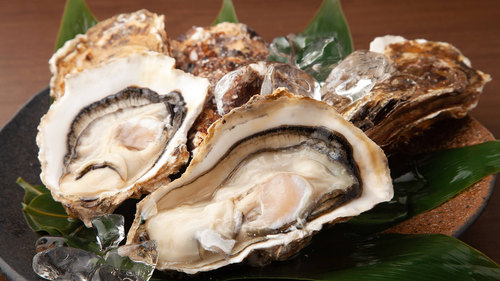 【完全版】広島の牡蠣グルメ20選｜宮島・広島駅・宇品で人気の牡蠣小屋や海鮮居酒屋をエリア別に紹介！焼き牡蠣・蒸し牡蠣・カキフライなど絶品牡蠣まとめ