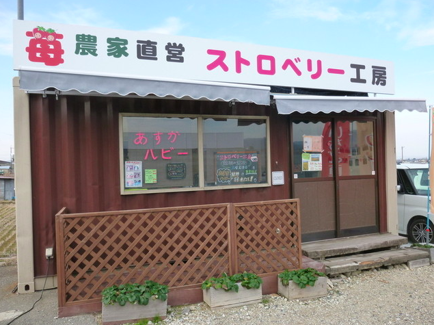 【ストロベリー工房】古都華とあすかルビーを味わう奈良のいちごスイーツ拠点