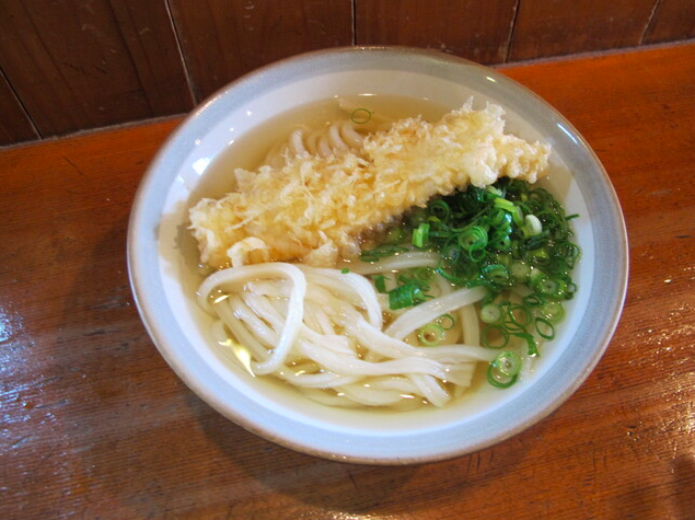 かけうどん+イカ天トッピング